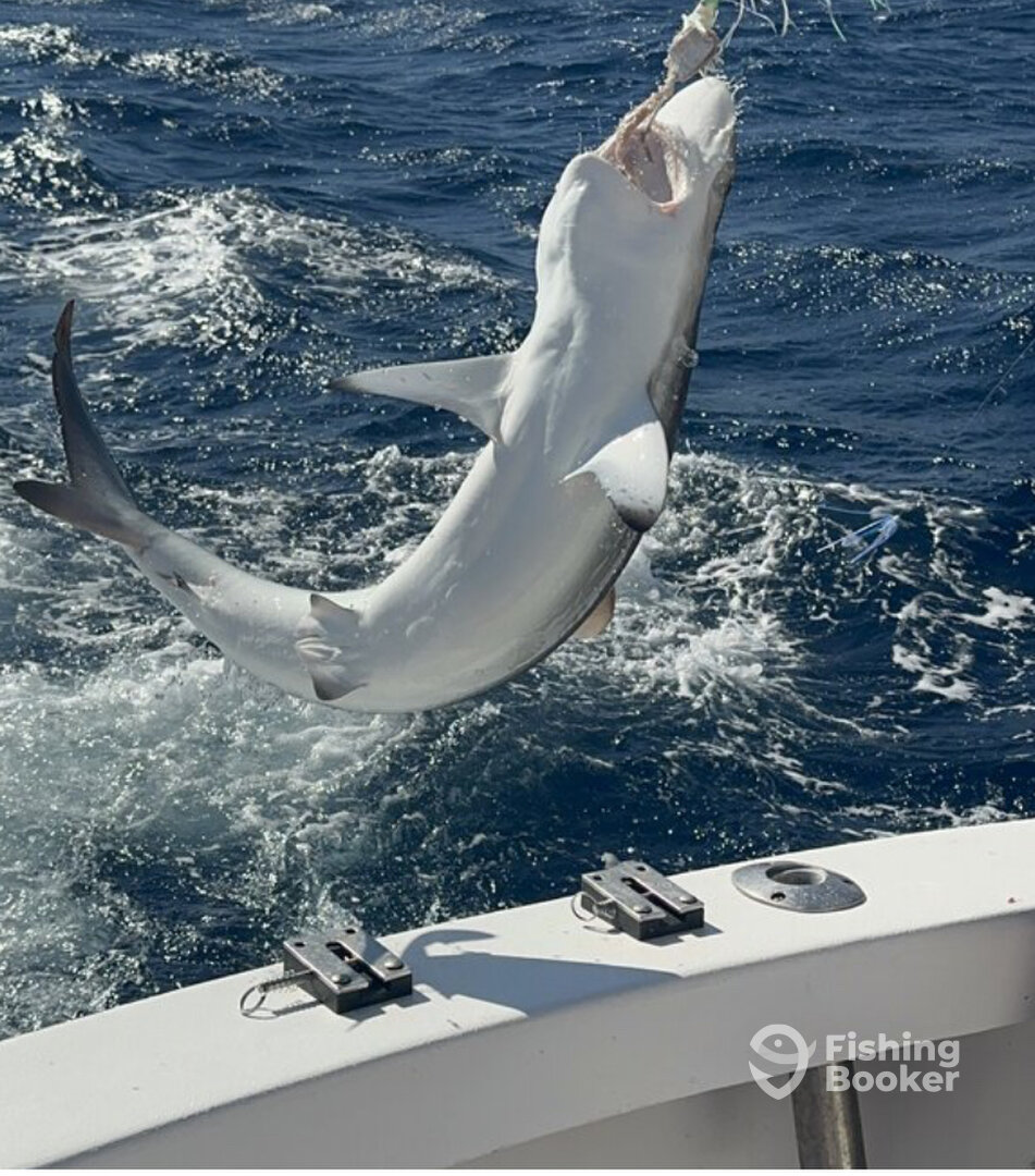 Pompano Beach Report Photo 0