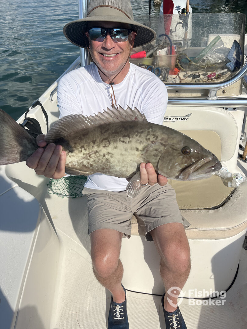 Sarasota Bay Report Photo 0