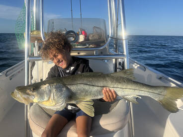 Sarasota Report Photo 2