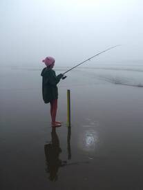 Stone Harbor Report Photo 2