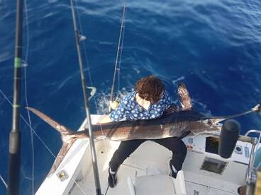 Another great day in cabo 2 marlins catc