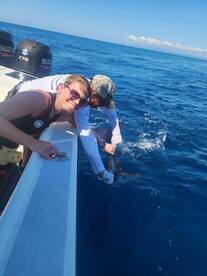 Sailfish Dominate the Day!