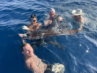 Los Sueños Report Photo 2