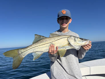 Naples Report Photo 2