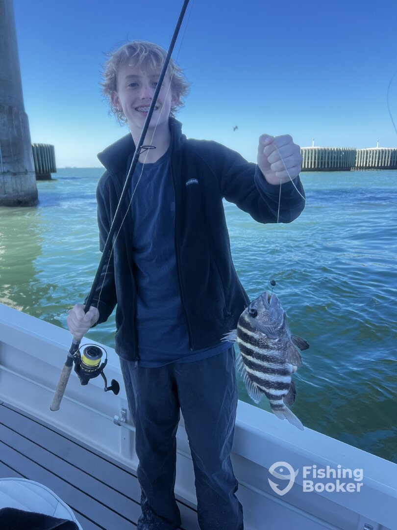 Palmetto Report Photo 0