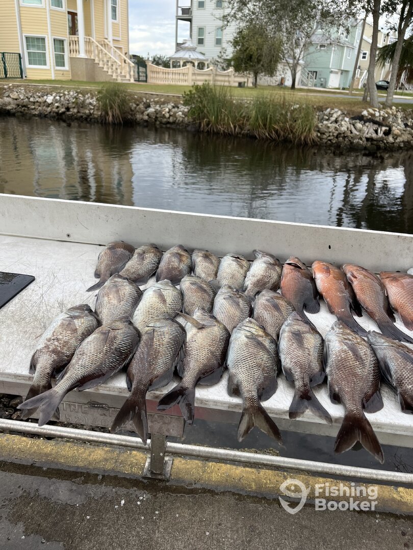 Chassahowitzka River Report Photo 0