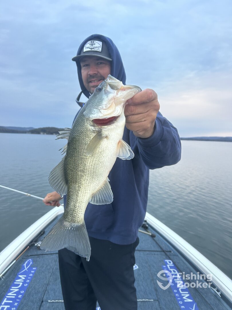 Tennessee Report Photo 0