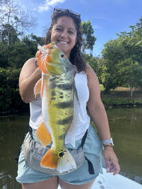 Peacock Bass Tours
