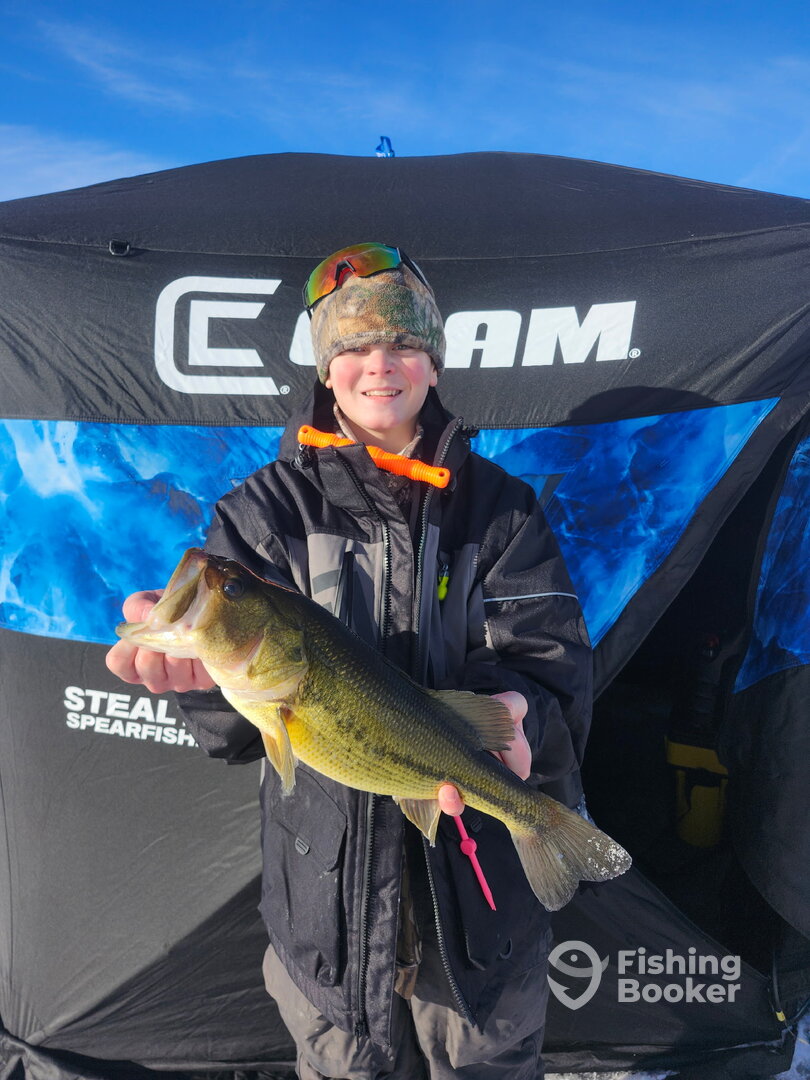 Chicago Report Photo 0