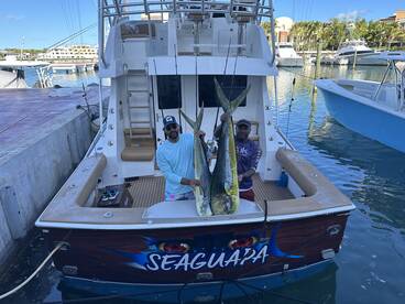 Big mahi mahi today