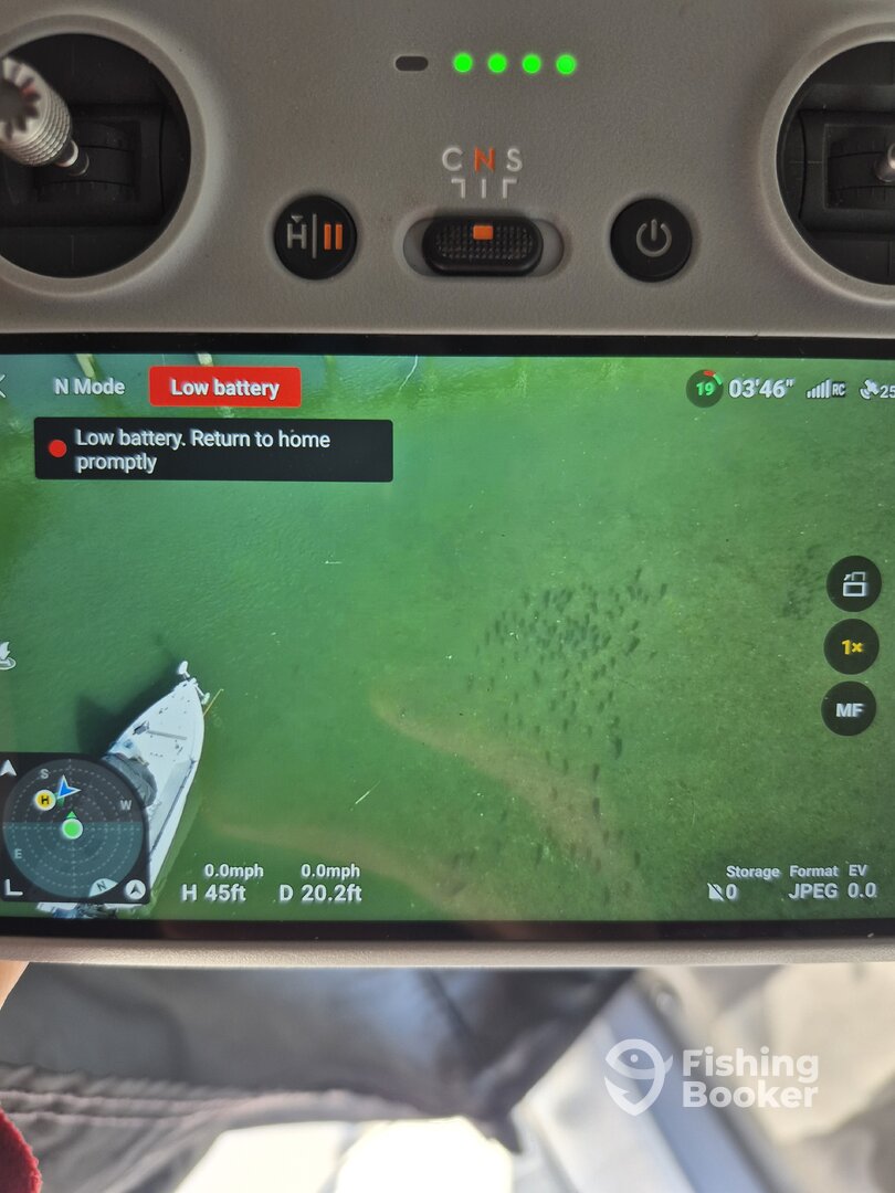 Hilton Head Island Report Photo 0