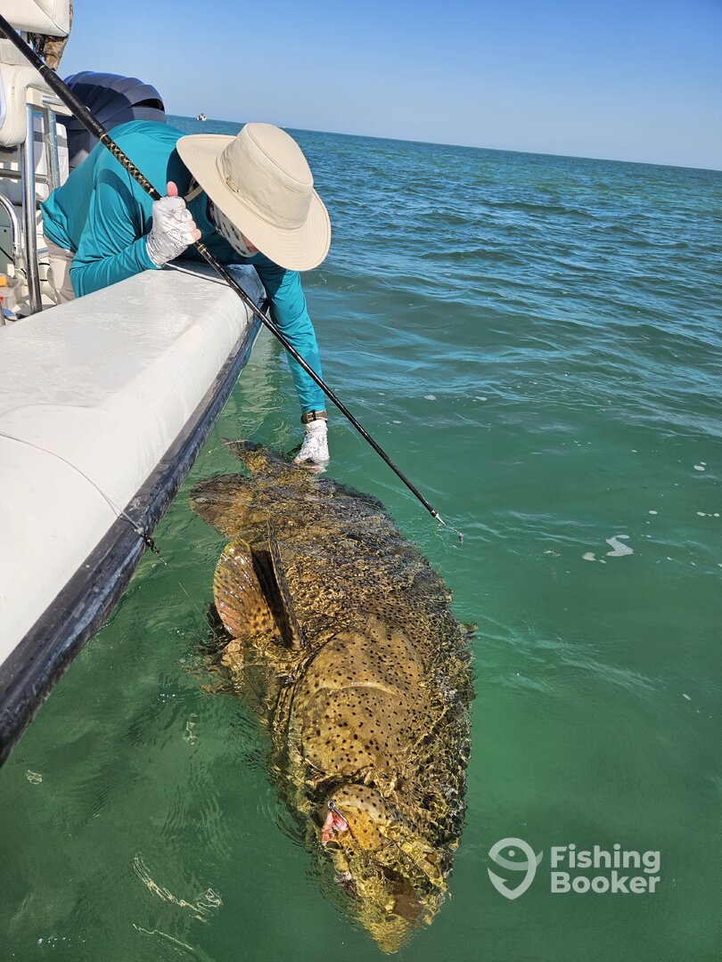 Dry Tortugas Report Photo 0