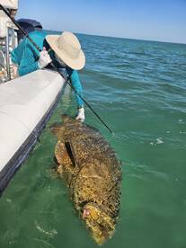 Lower Keys Report Photo 1