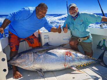 Los Cabos Report Photo 1