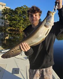 Lake Ida Report Photo 1