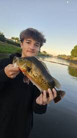 Little bit of everything this morning