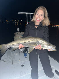 St. Petersburg Report Photo 2