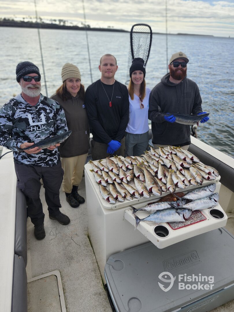 California Report Photo 0