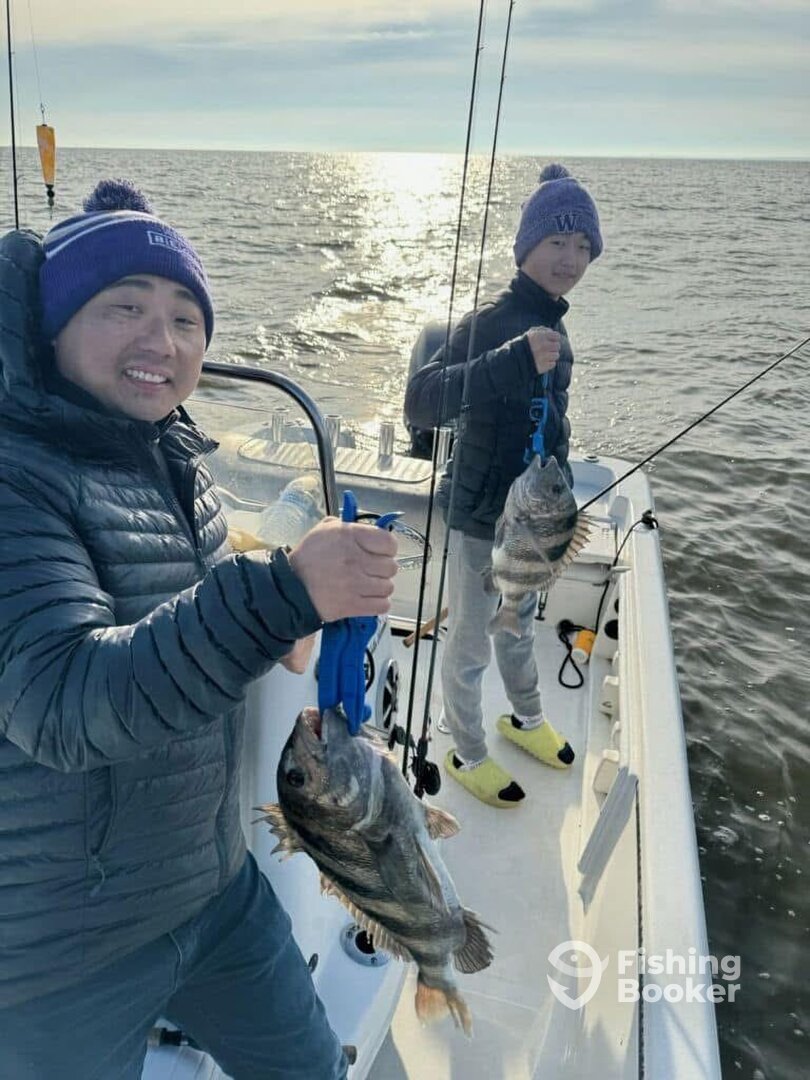 Seabrook Report Photo 0