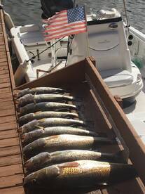 Seabrook Report Photo 2