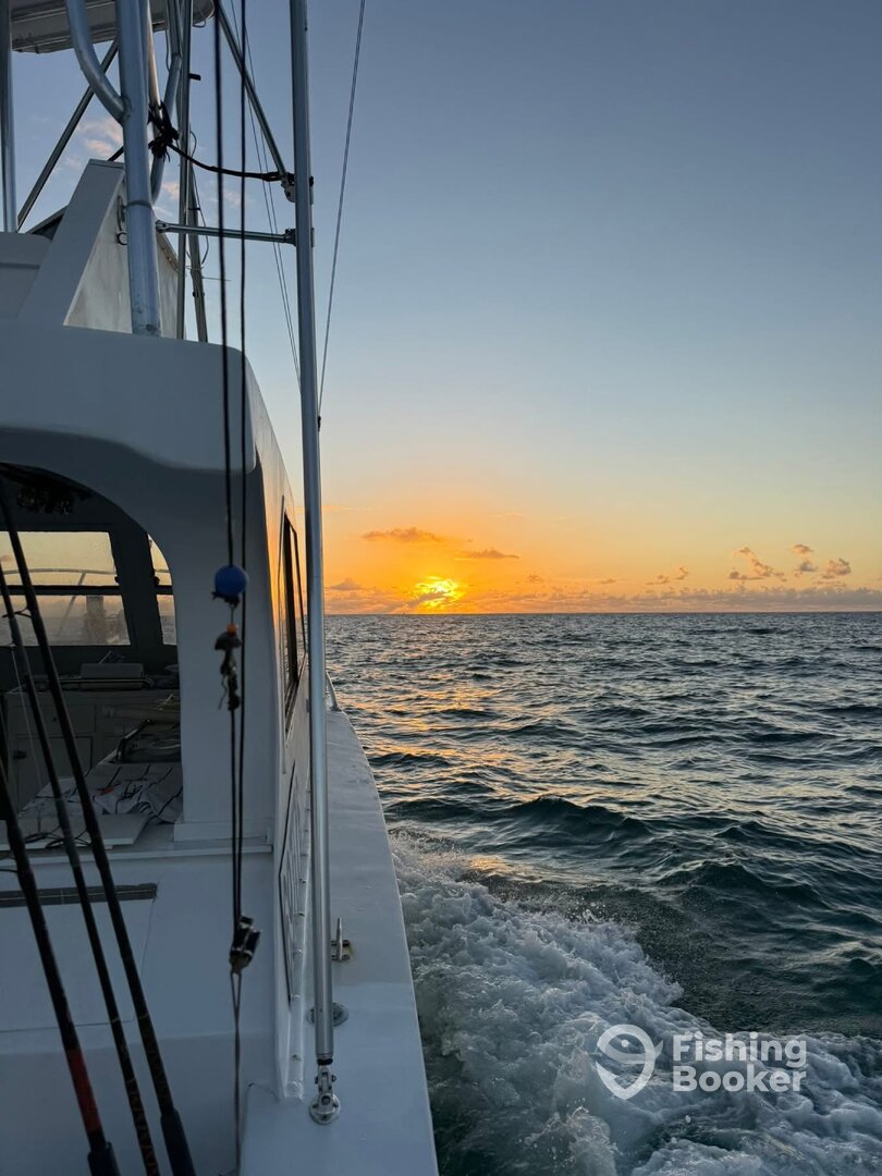 Islamorada Report Photo 0