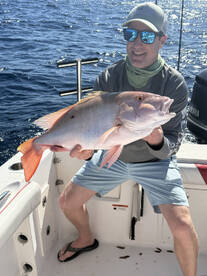 The mutton bite is on!