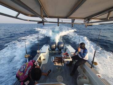 Manzanillo Report Photo 3