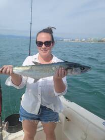 Rooster and Spanish mackarel 