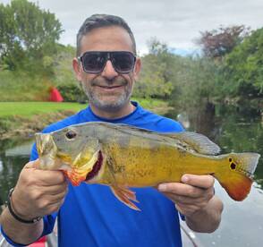 Weston Report Photo 4