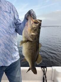 Interlachen Report Photo 2