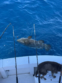 West Palm Beach Report Photo 1