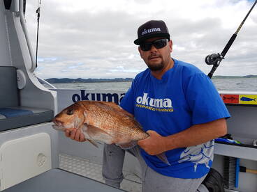 Paihia Report Photo 1