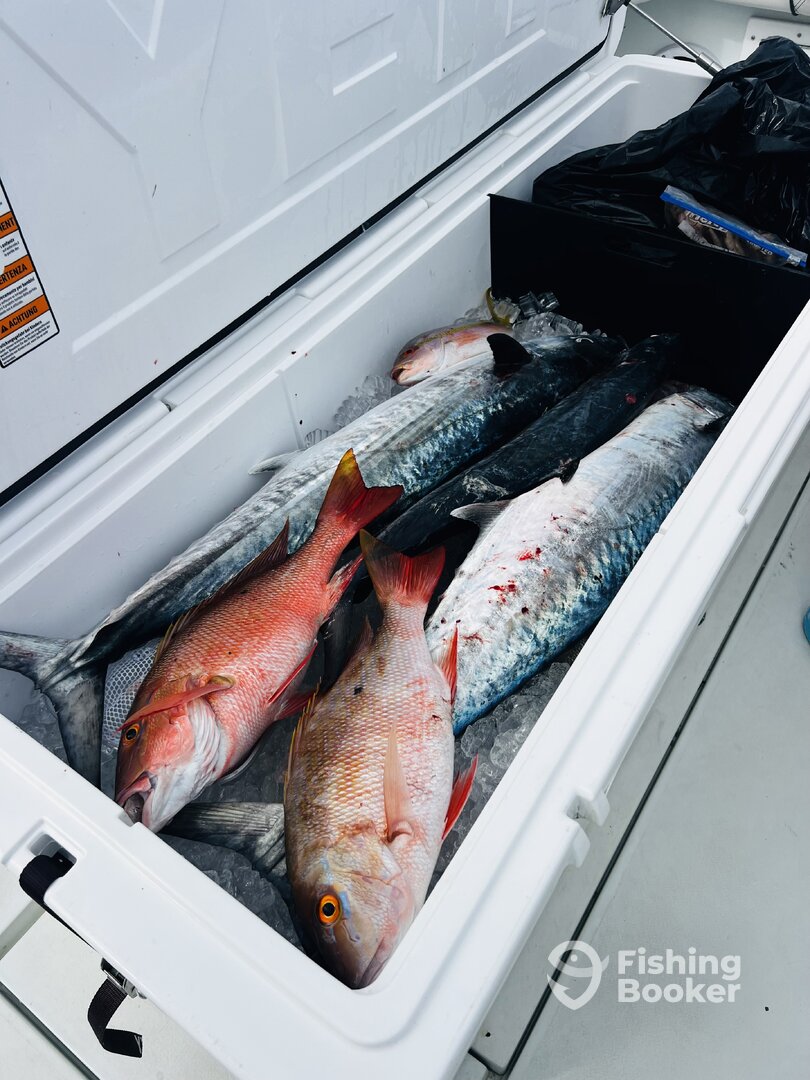 Miami Report Photo 0