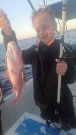 Playa Del Carmen Report Photo 2