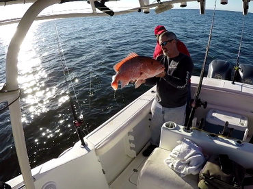 Red Snapper Season 2017 has been announc