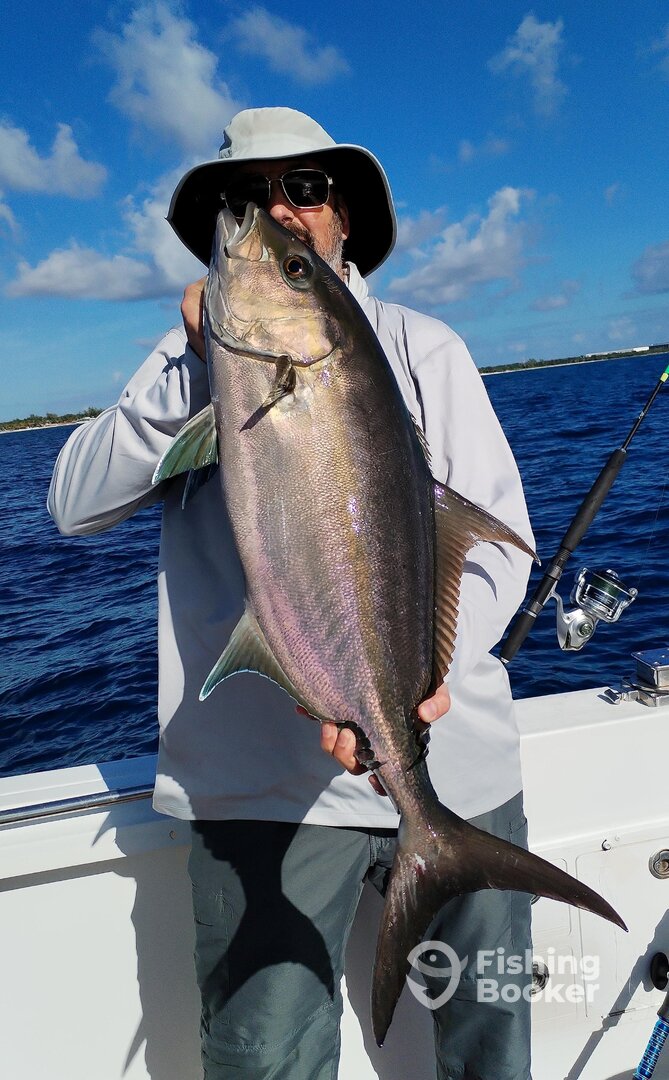 Quintana Roo Report Photo 0