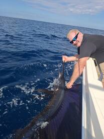 Offshore Morning Sessions