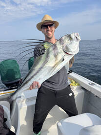 Jalisco Report Photo 4