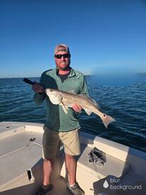 Sarasota Report Photo 1