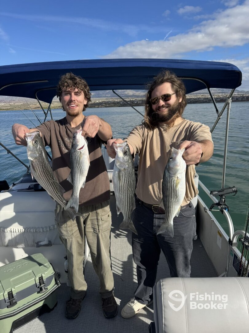 Lake Havasu City Report Photo 0