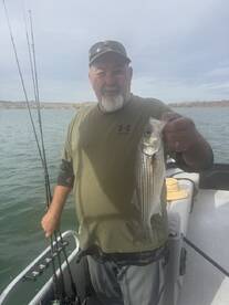 Arizona Report Photo 3