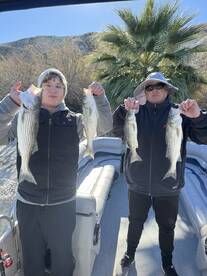 Lake Havasu City Report Photo 1