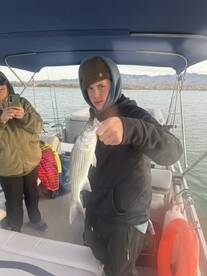 Arizona Report Photo 1