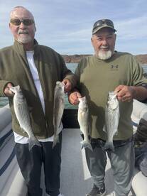 Arizona Report Photo 4