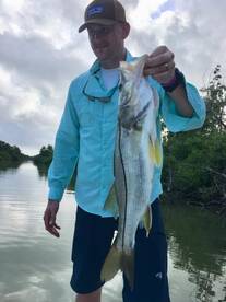 Tarpon Tours