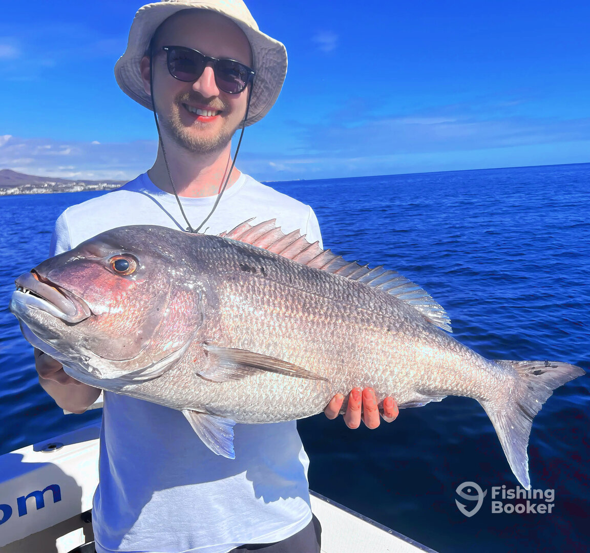 Canary Islands Report Photo 0