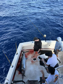 Honolulu Report Photo 2