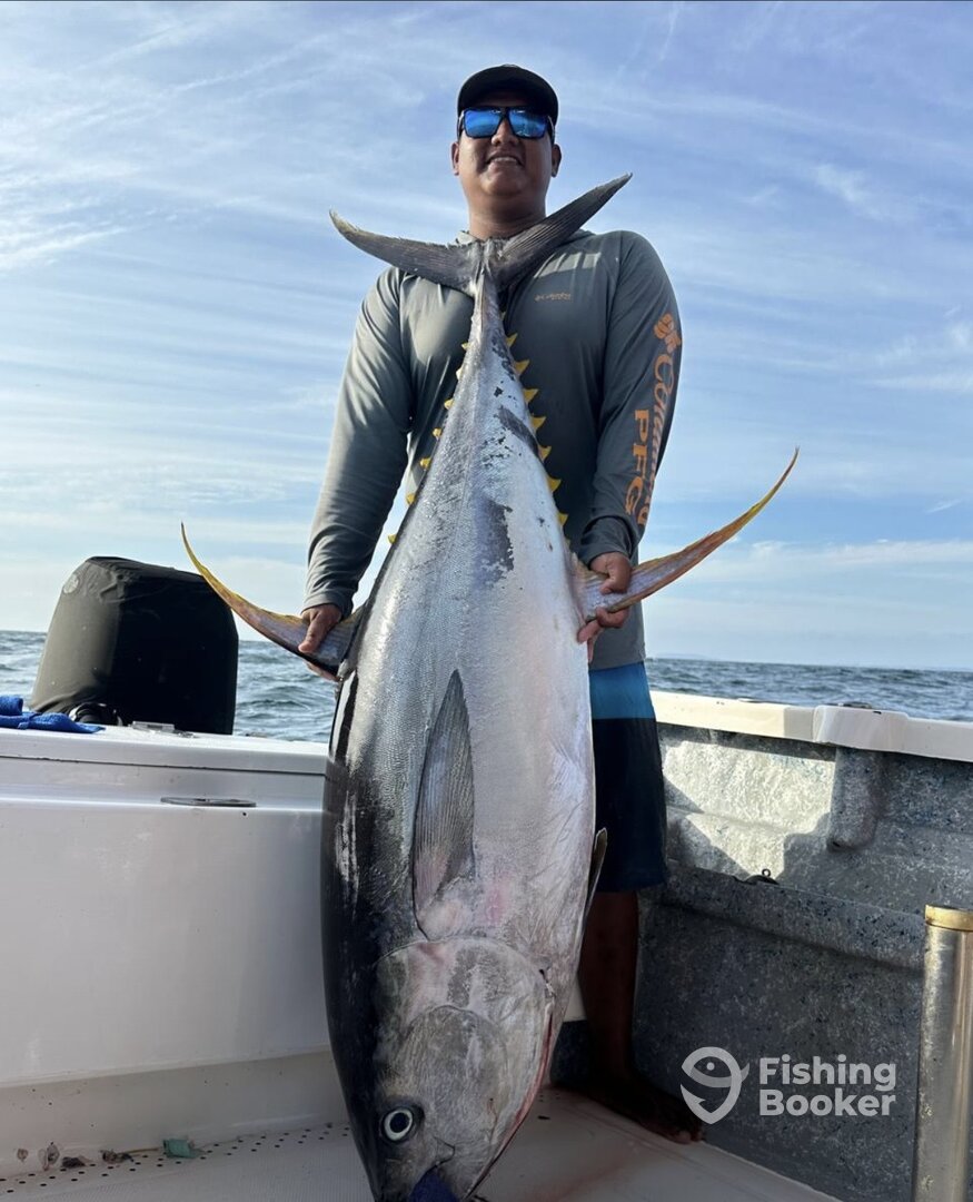 Nayarit Report Photo 0