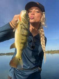 Toa Alta Report Photo 1