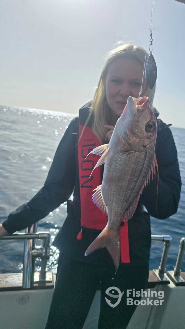 Portugal Report Photo 0